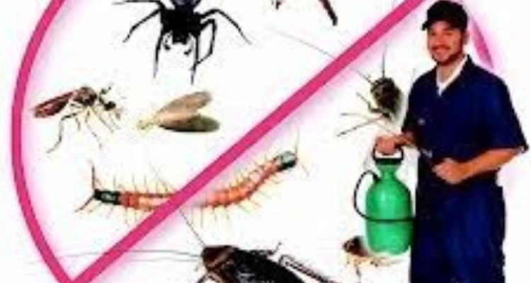 Pesting control and killer services- Sri Sitarama collection