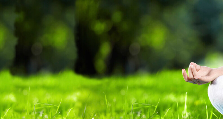 SAPTA DALLA YOGA (PRENATAL YOGA IN CHENNAI)