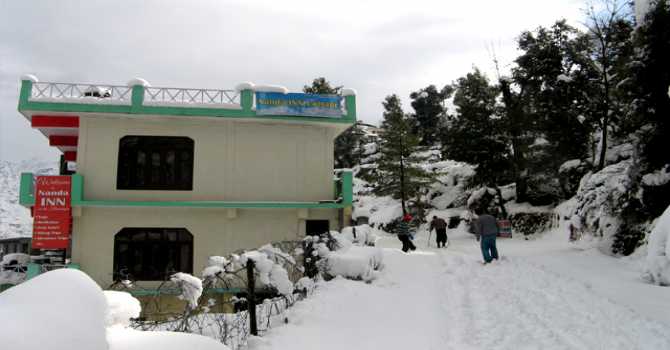 Nanda Inn wild cottage, Joshimath