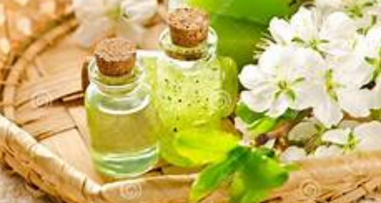 Green Health Spa & Saloon - Chennai