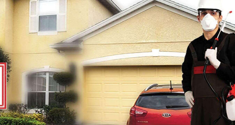 Aavinash Pest Control Service in Chennai