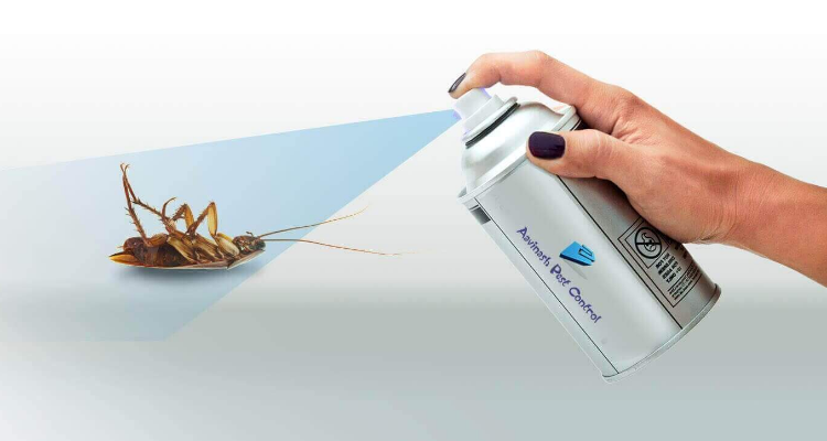 Aavinash Pest Control Service in Chennai
