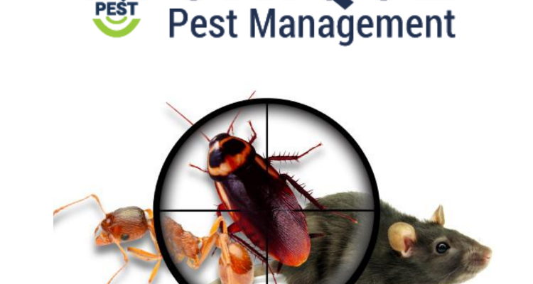 Unique Pest Control - No.1 Pest Control Services in Chennai