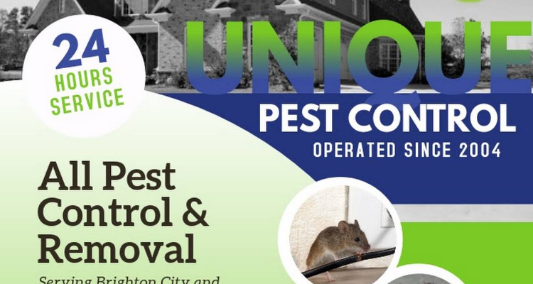 ssUnique Pest Control - No.1 Pest Control Services in Chennai