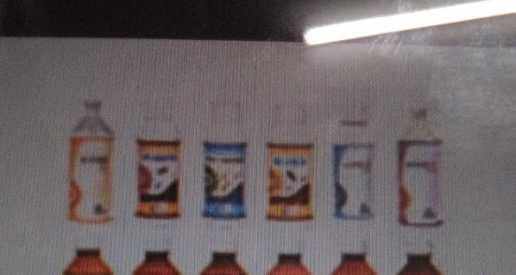 J.K. Pest Control Services - Chennai