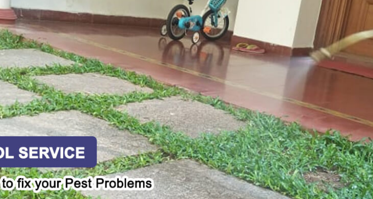 SUGUNA PEST CONTROL - Chennai
