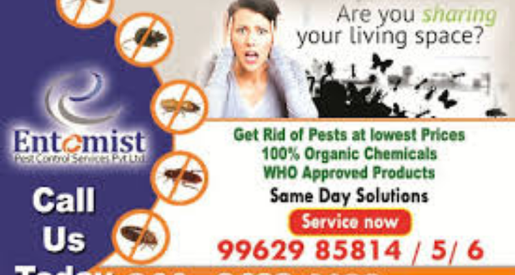 ssEntomist Pest Control Service Pvt Ltd - Chennai