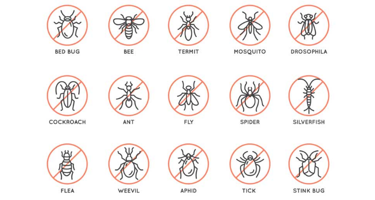 Acme pest control- Chennai