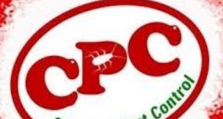 Classical Pest Control - Chennai