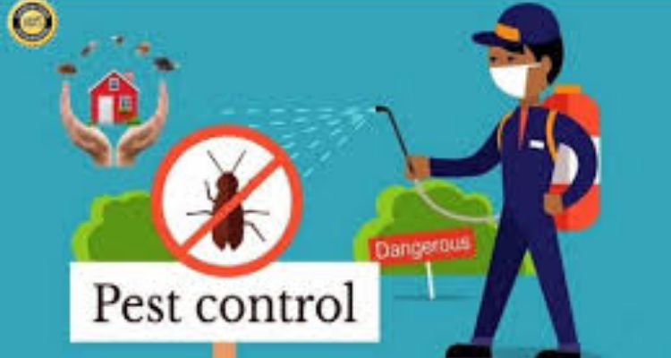 ssClassical Pest Control - Chennai