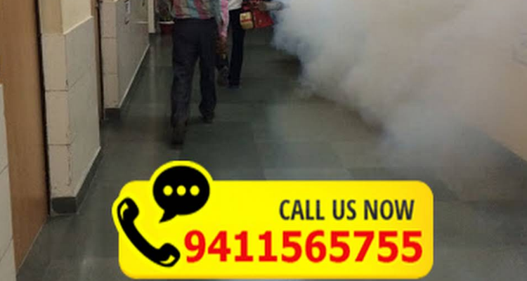 ssHimalayan Pest Control Services - Roorkee