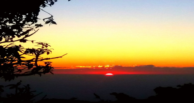 Winter Line Adventure Camp in Mussoorie