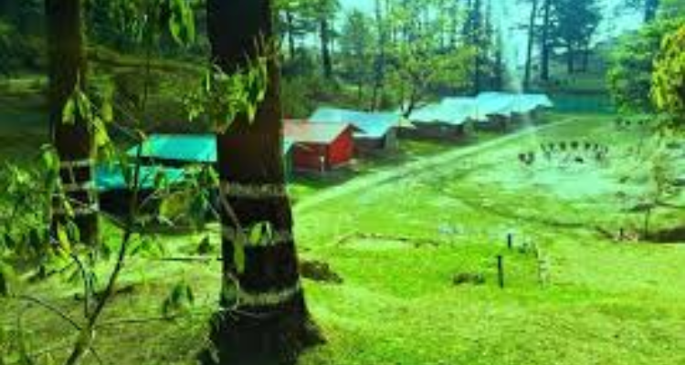 Northern Adventure Camp in Mussoorie