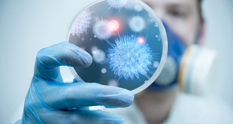 Indian Pest Management - Roorkee