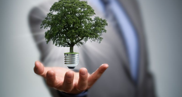 Indian Pest Management - Roorkee