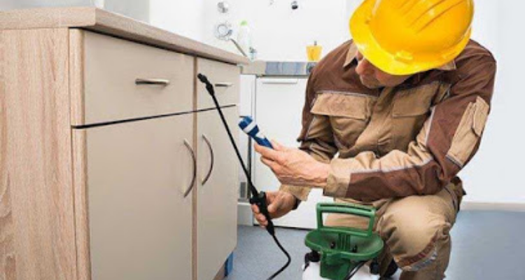 Global Pest Control Services - Roorkee