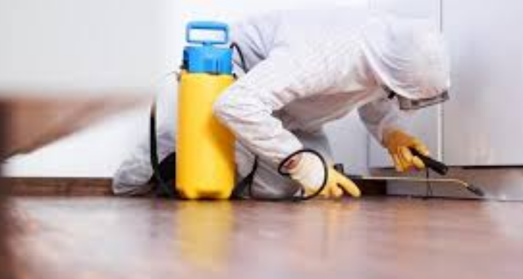 Global Pest Control Services - Roorkee