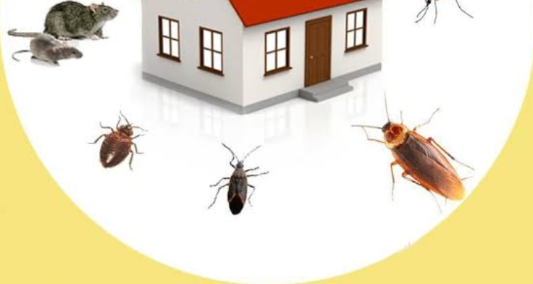 ssClear Bugs Pest Control Service