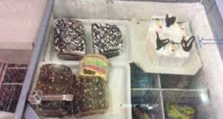 Brown Hut Bakers - Haridwar (LAksar)