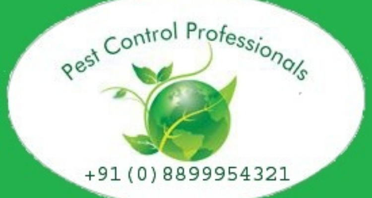 Pest Control Professionals - Rishikesh