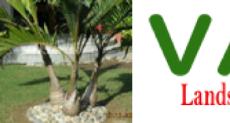 Vatica - Pest Control Services - Haridwar ,Rishikesh , Dehradun