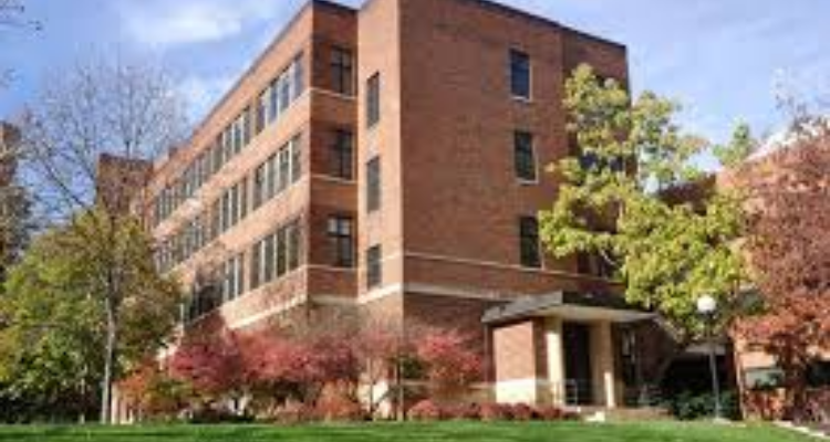 Urbanage Atelier LLP - Architect in Haridwar