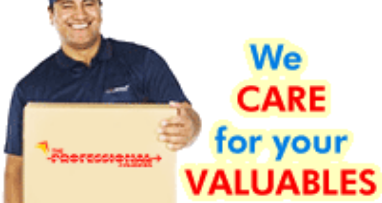 ssThe Professional Couriers - Haridwar