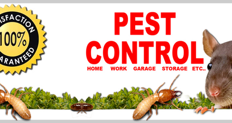 ssDehradun Pest Control Services - Dehradun , Haridwar