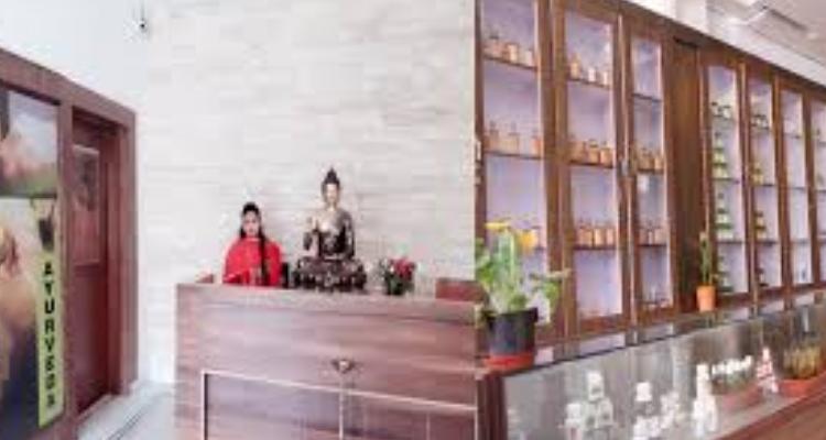 Vedik Kaaya Ayurvedic And Panchkarma Center - Haridwar