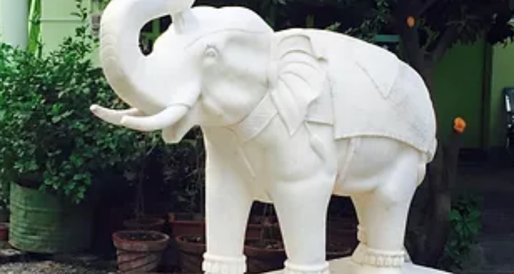 Whizzkid International School