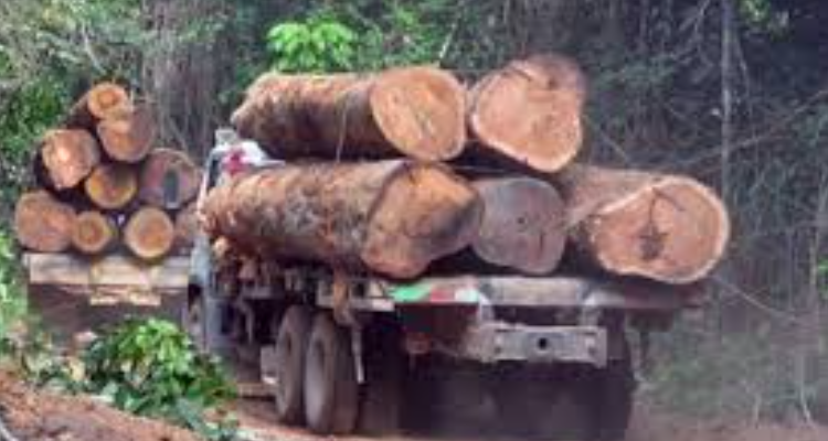 ssDivisional Logging Manager, Haridwar