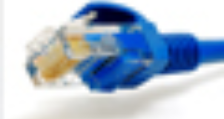 Cify Data Services P. Ltd.- Haridwar