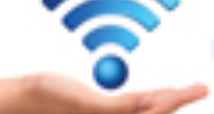 Cify Data Services P. Ltd.- Haridwar