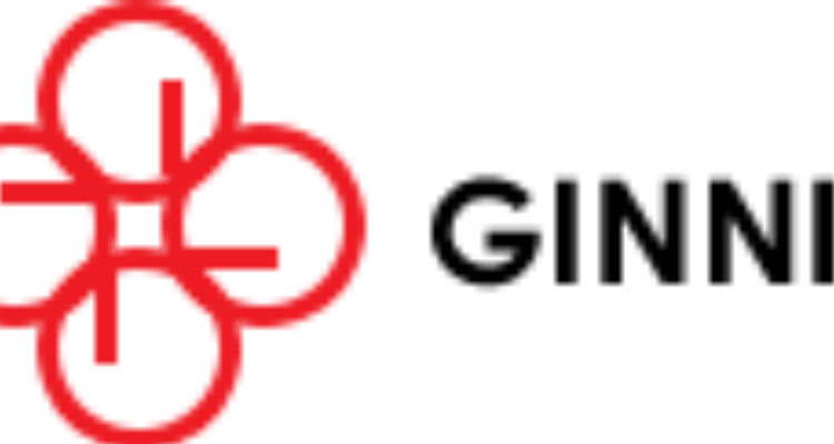 Ginni Filaments Ltd