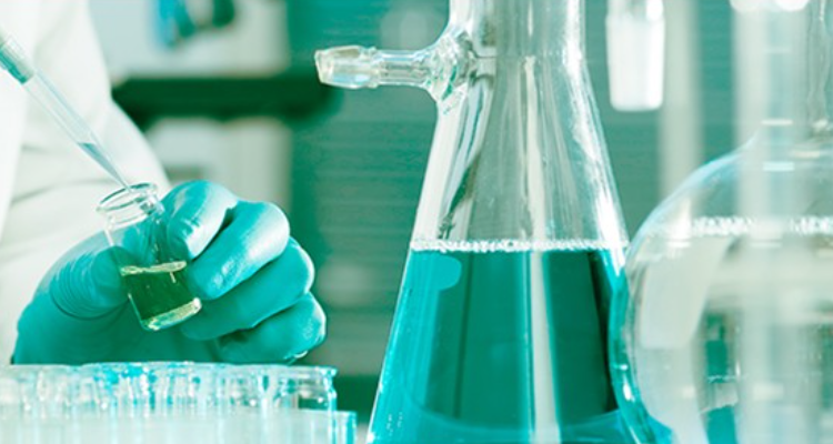 Modhike Private Limited, Selaqui, Uttarakhand