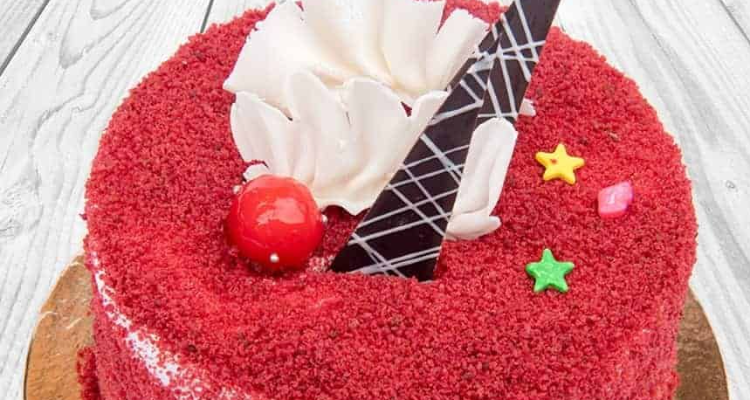 Standard Bakers And Fast Food - Bakery (Dehradun)