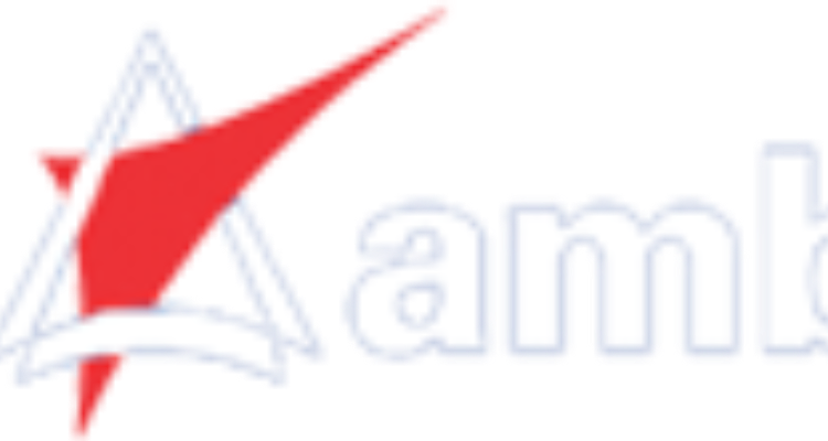 Amber Enterprises (India) Pvt. Ltd- Selakui