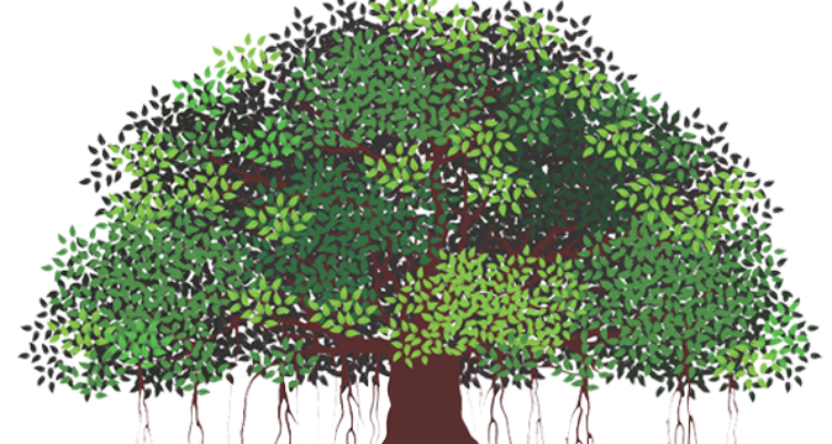 Shree Cement Ltd Laksar (Uttarakhand)