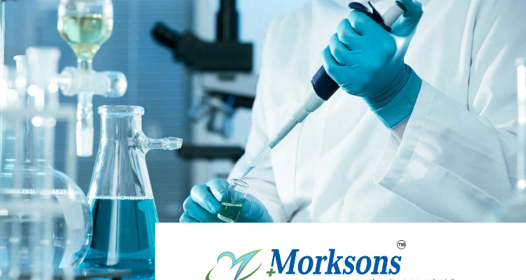 Morksons Pharmaceuticals India Pvt.ltd (Roorkee)