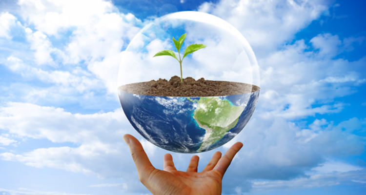 Gangotri Solar System Pvt Ltd - Haldwani