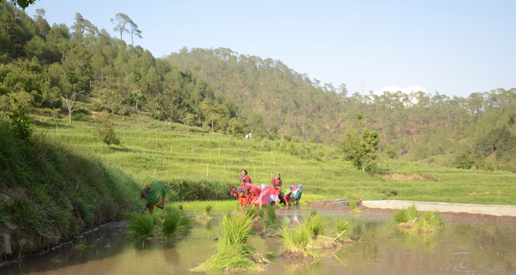 Dj Photollia - Photographer in haldwani