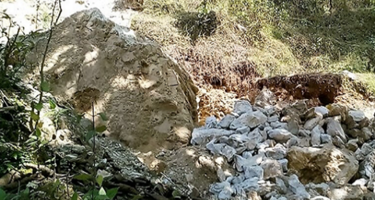 Almora Magnesite Limited