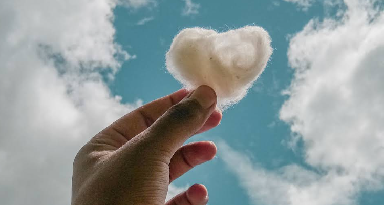 Gaurav Koranga Photography - Nainital