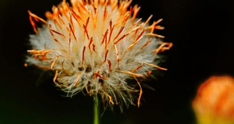 Navi Photography - Nainital