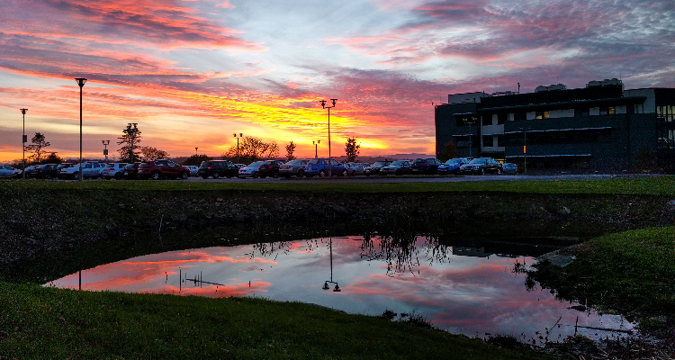 Roshan Photography - Udham SIngh Nagar