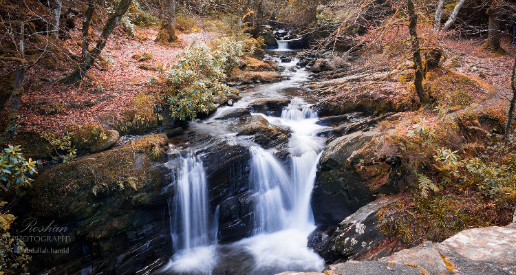 Roshan Photography - Udham SIngh Nagar