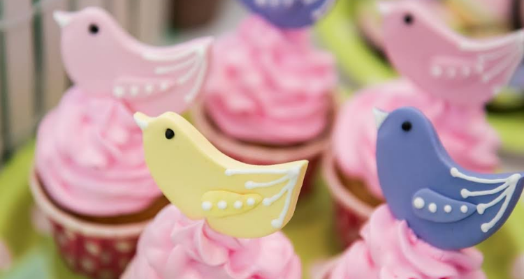 Birthday Photographers in Gurgaon and Delhi