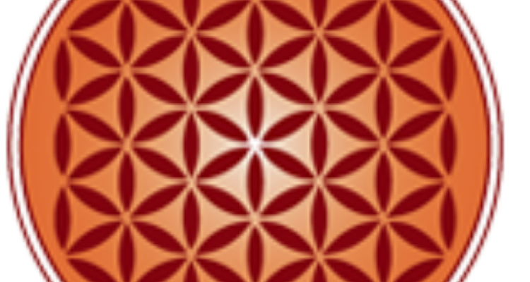 MBA Programme For Women | Vedica scholar