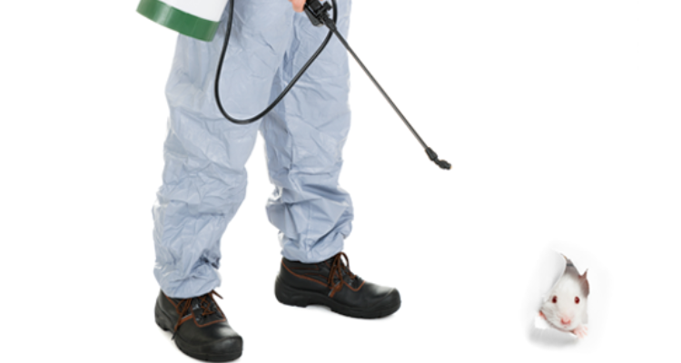 Shree Ganesh Pest Control in Patna