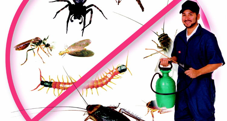 Shree Ganesh Pest Control in Patna